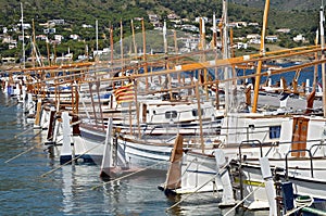 Boats at El Port de la Selva in Spain photo